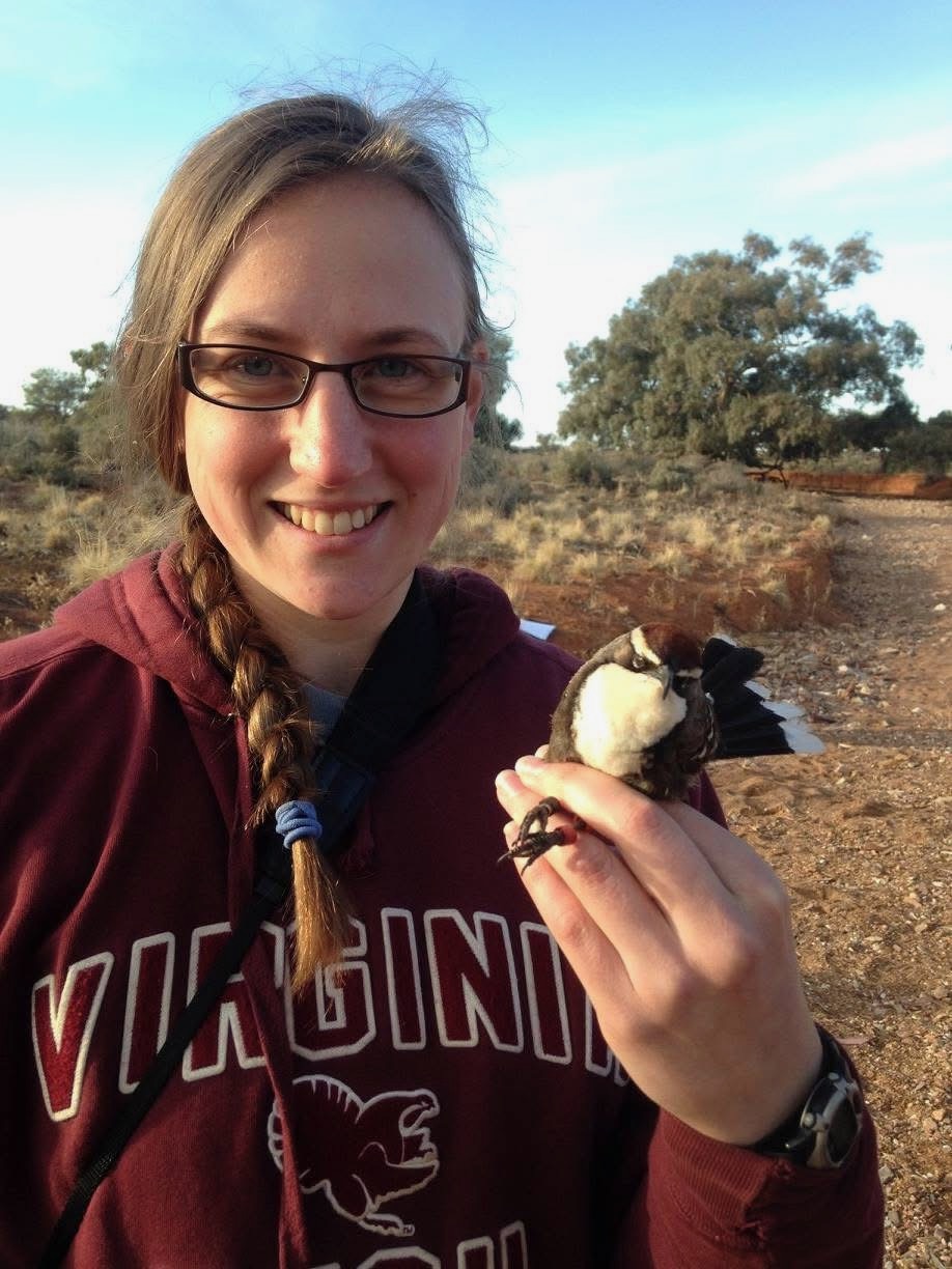 Yoko collecting data from bat detectors