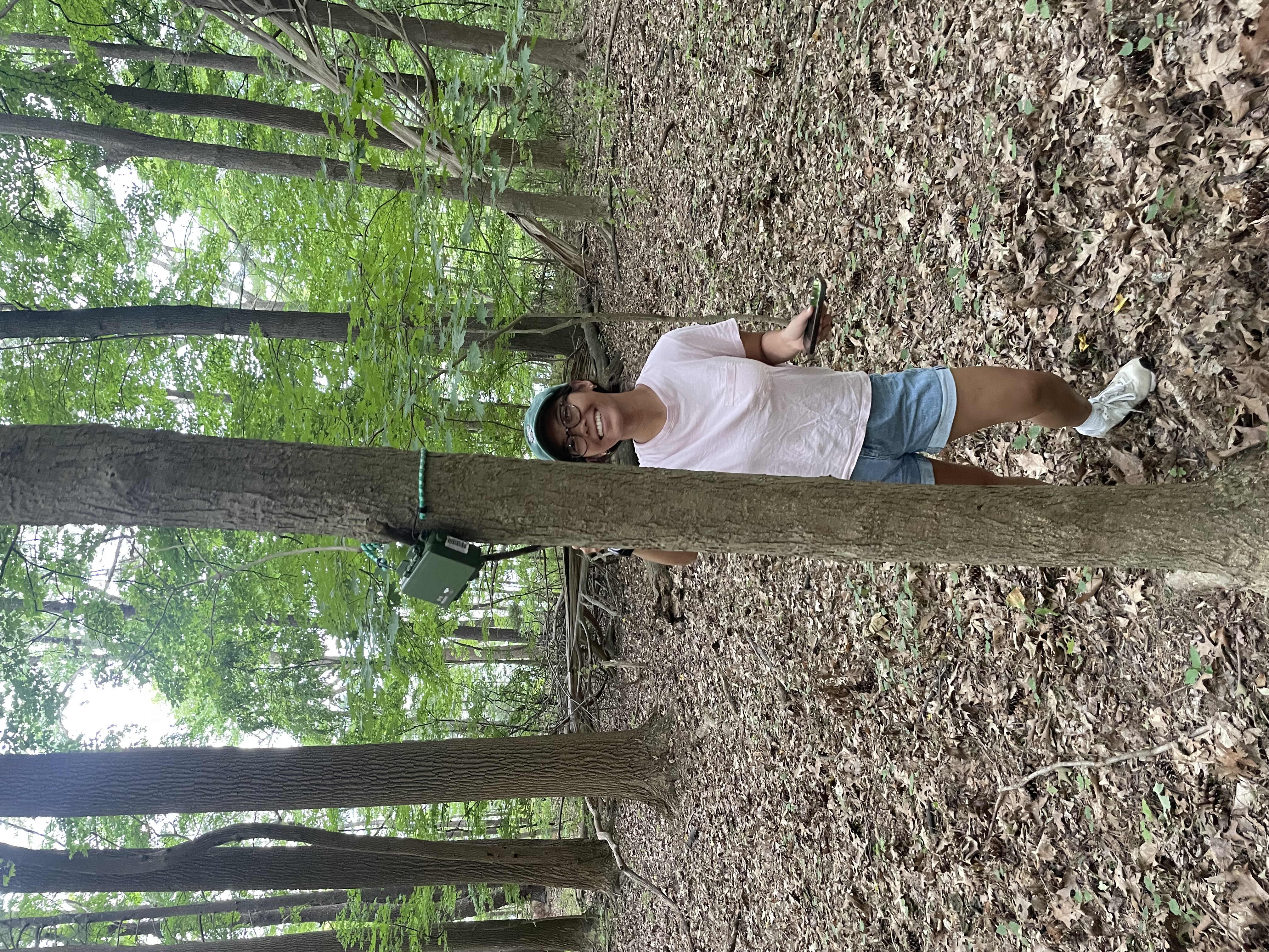 Yoko collecting data from bat detectors